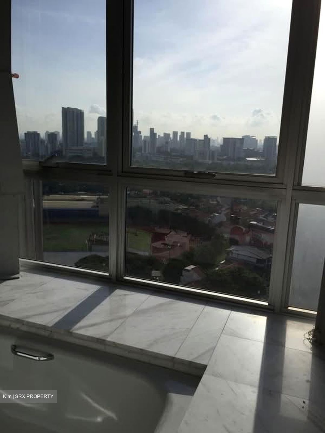 The Parc Condominium (D5), Condominium #554725321